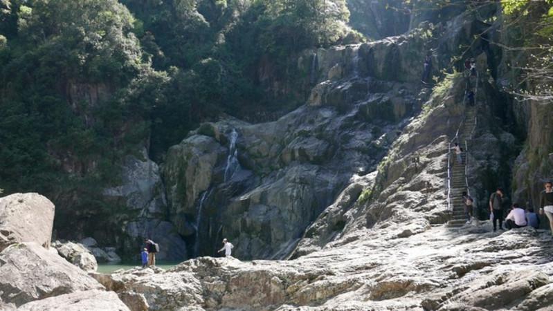 为了更好地呵护肺部健康，为您精心挑选了以下五种养肺食材